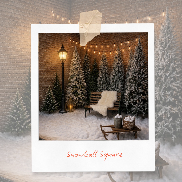 Christmas Mini Sessions - November 8th
