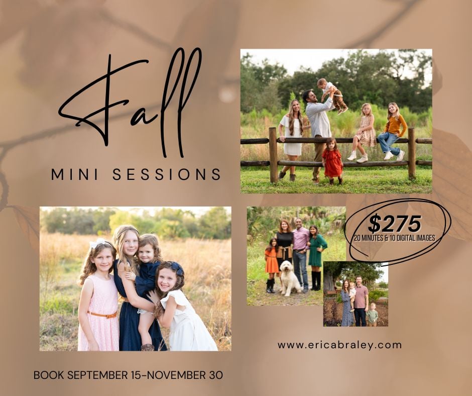 Fall Mini Sessions